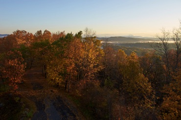 Greenfield in the Fall Greenfield in the Fall